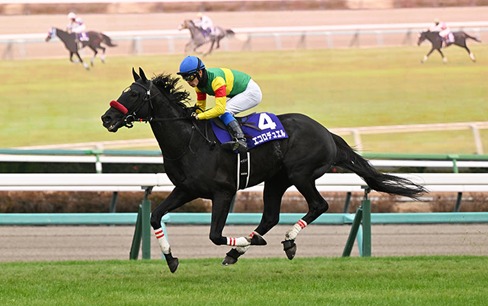 Nakayama Race Results 18 January winners