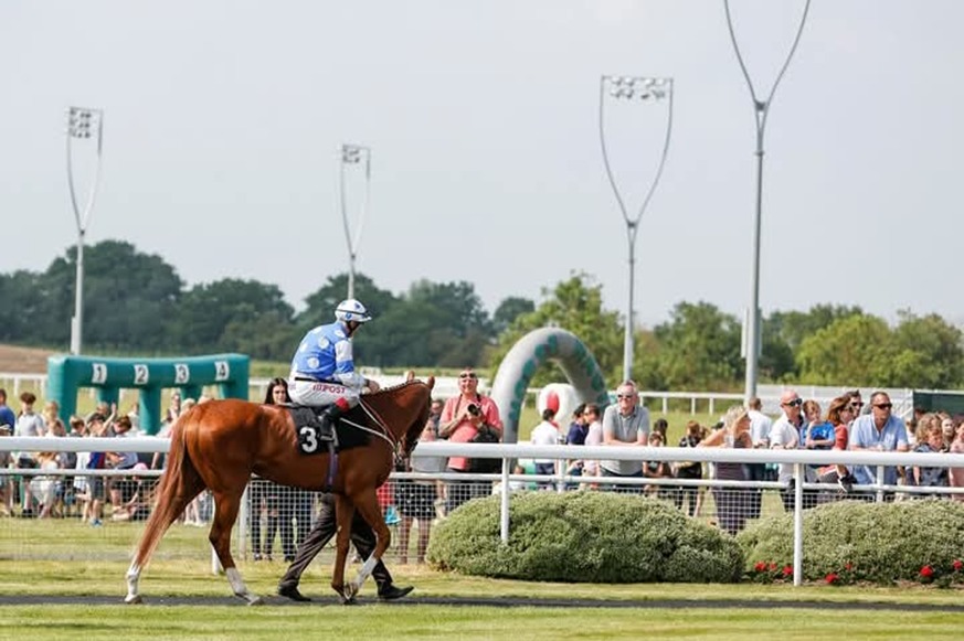 Chelmsford City Race Cards 8 January seven-race all-weather meeting