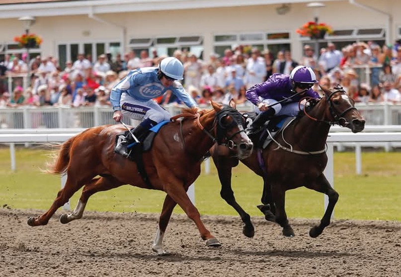 Chelmsford City Race Cards 2 January all-weather racecourse during afternoon racing
