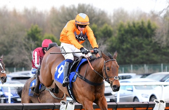 Ludlow Race Cards 15 January seven-race National Hunt meeting