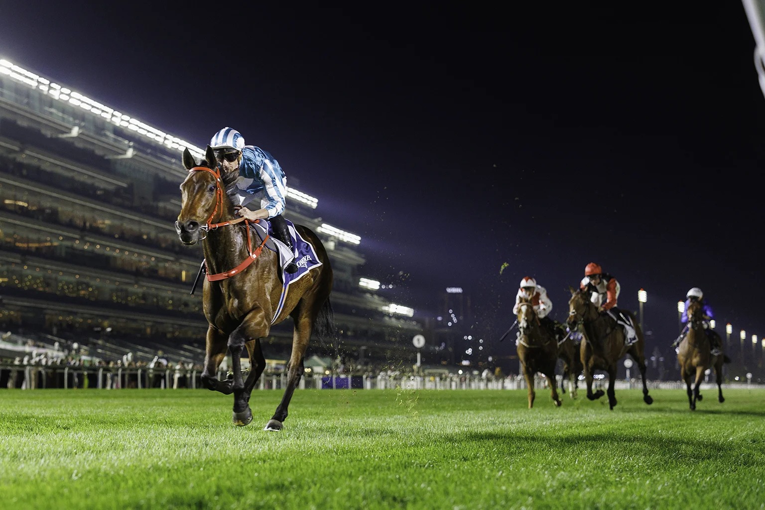 Meydan racecards 9 January preview with Lord North Handicap