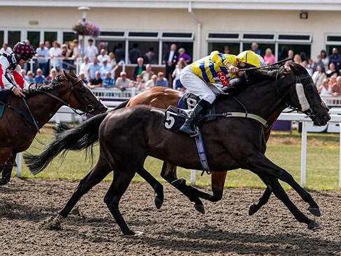 Chelmsford City Racecourse evening racing