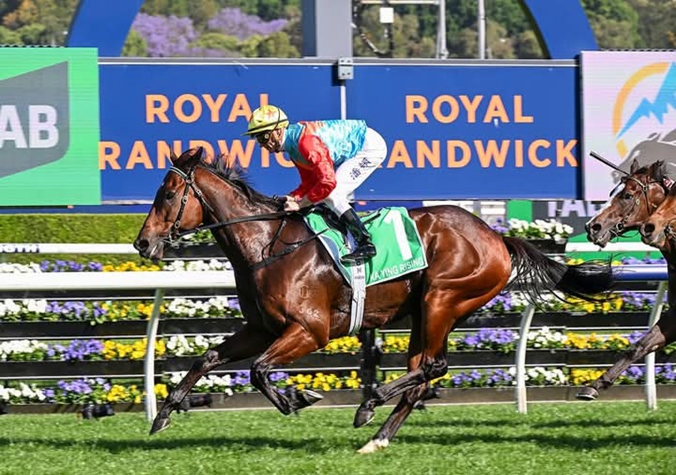Royal Randwick Race Cards 3 January racecourse hosting summer racing