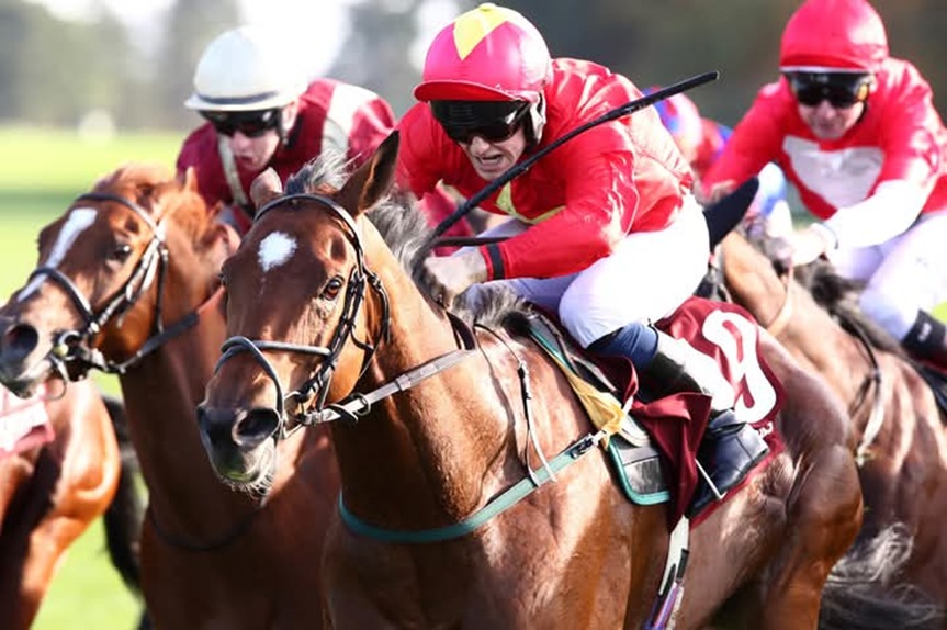 Deauville Race Cards 8 January featuring eight-race evening meeting