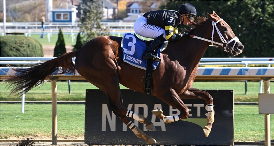 Aqueduct Racecards 22 January at NYRA Aqueduct