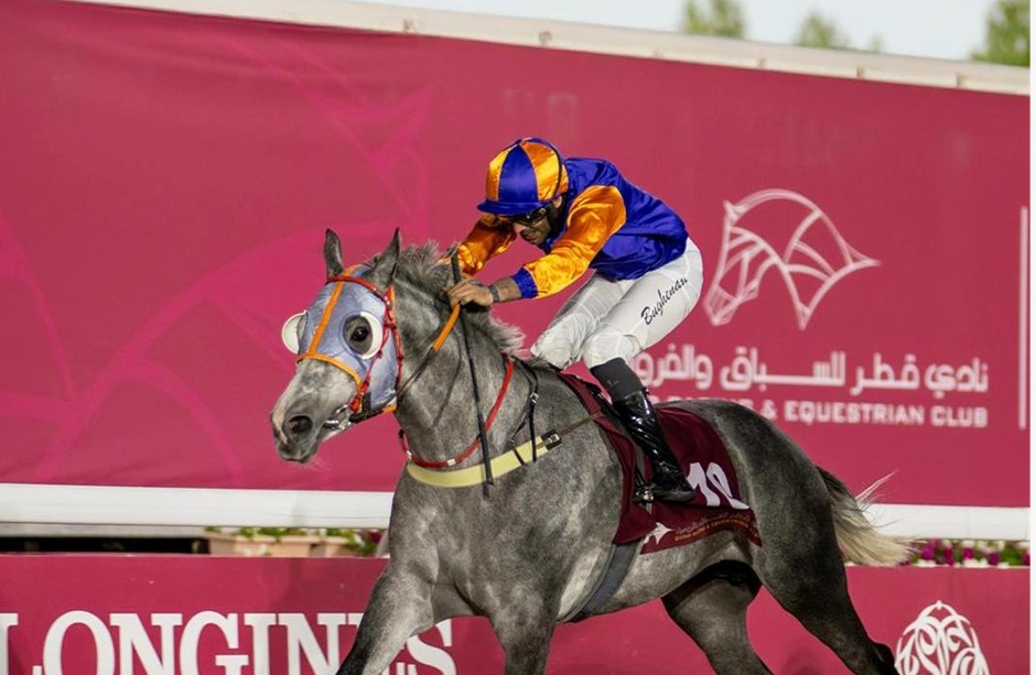 Qatar Racecards 3 January feature Arabian racing at Al Rayyan Racecourse
