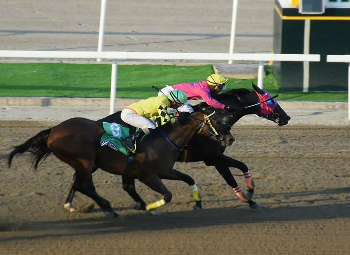 Philippine Race Results 14 January: JT Zarate riding at Philippine Jockey Club midweek card