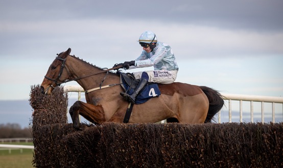 Dundalk Stadium all-weather track under floodlights