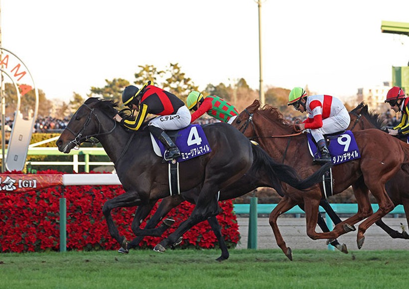 Nakayama Racecourse hosting a scheduled race meeting