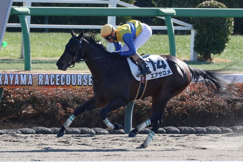 Nakayama race result 5 January Sunrise Stakes Win Iolite