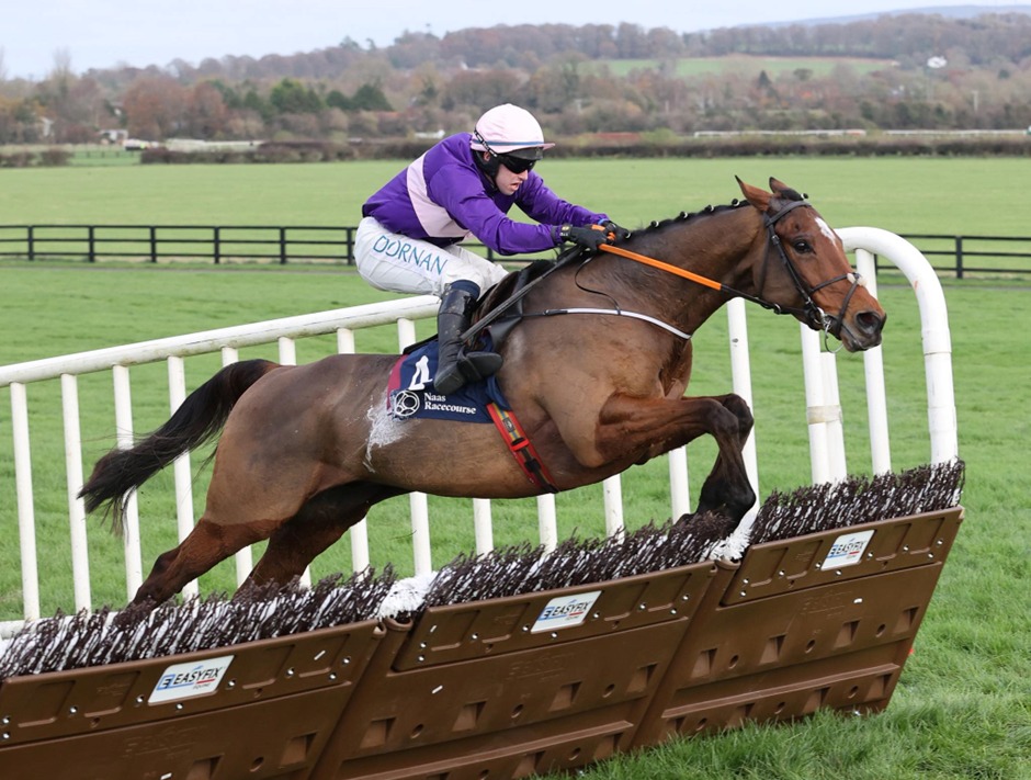 Naas Racecards 9 January Grade 1 action at Naas Racecourse