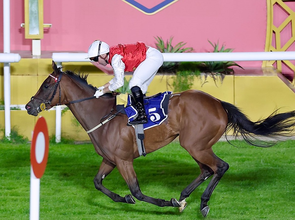 Bahrain Racecards 23 January at Bahrain Turf Club featuring Bahrain Jewellery Centre Cup