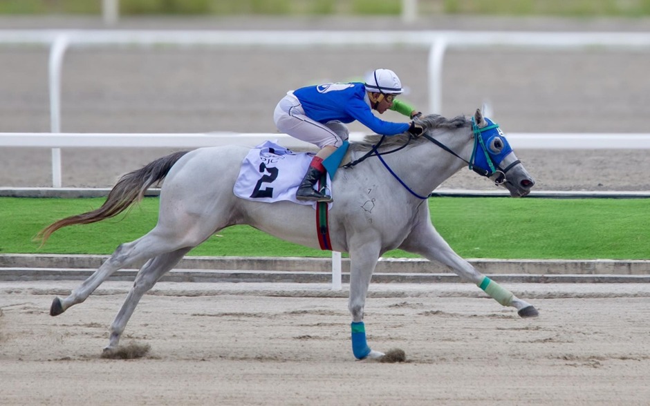 Philippine Racecards 28 January evening racing at the Philippine Jockey Club