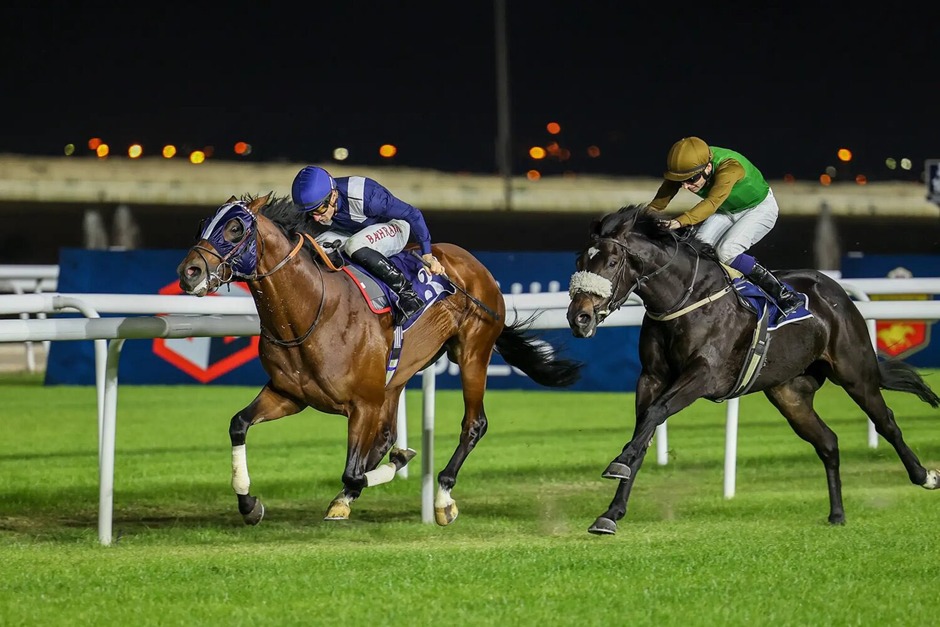 Bahrain Racecards 30 January Crown Prince’s Cup Festival racing