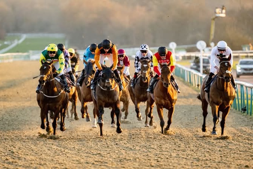 Lingfield Park Race Cards 12 January