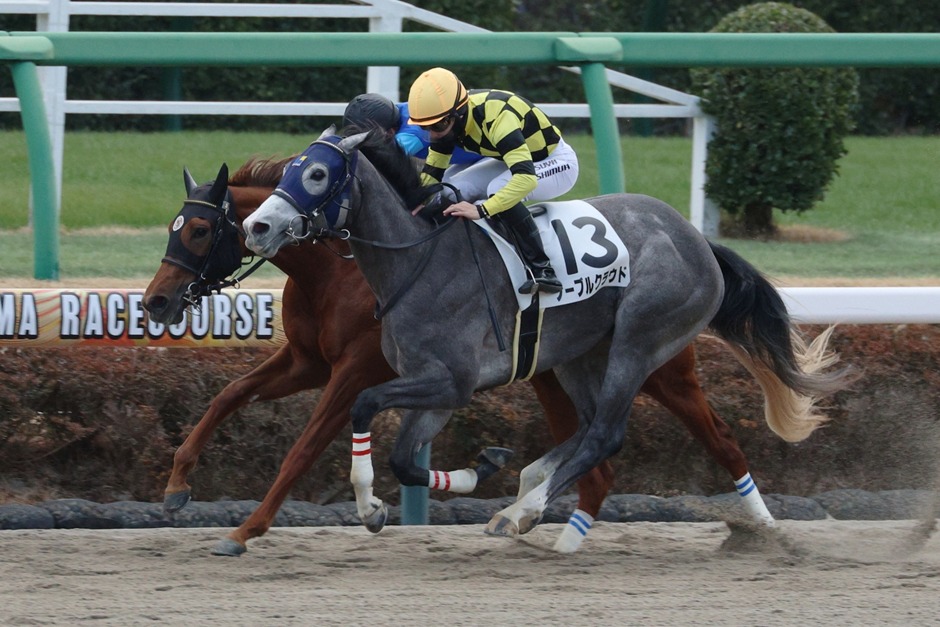 Nakayama Race Results 11 January featuring Fairy Stakes G3 winner Black Chalice