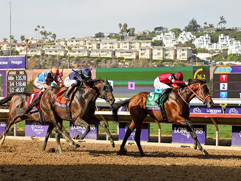 Nakayama Race Results 12 January overview with racing action