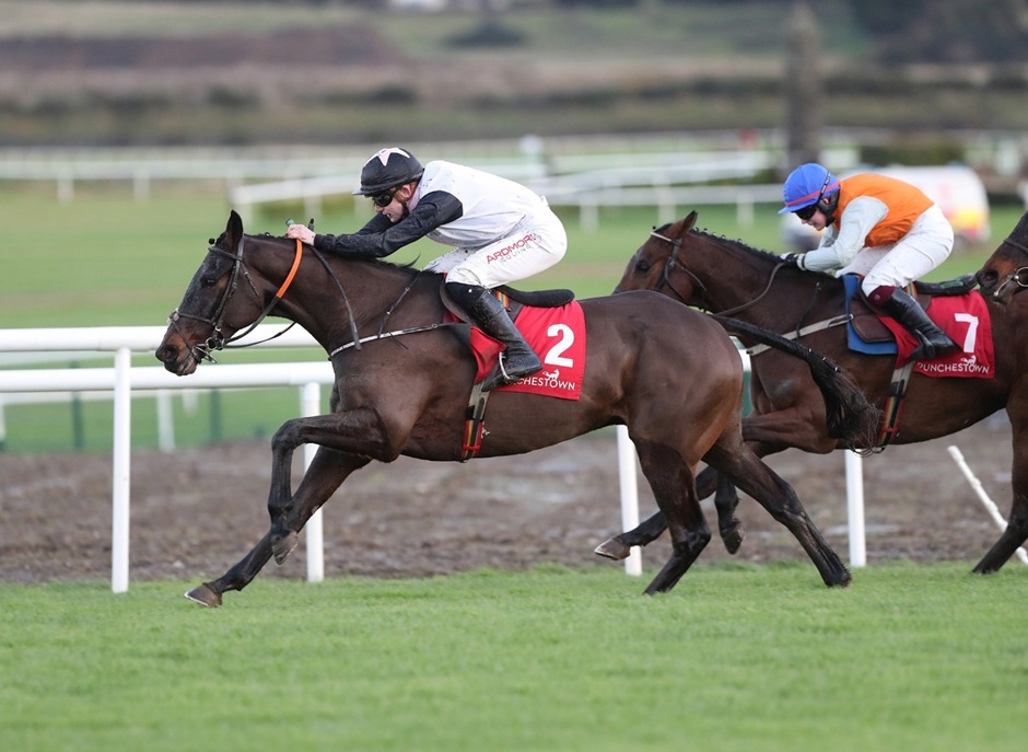 Punchestown Racecards 12 January featuring winter National Hunt racing
