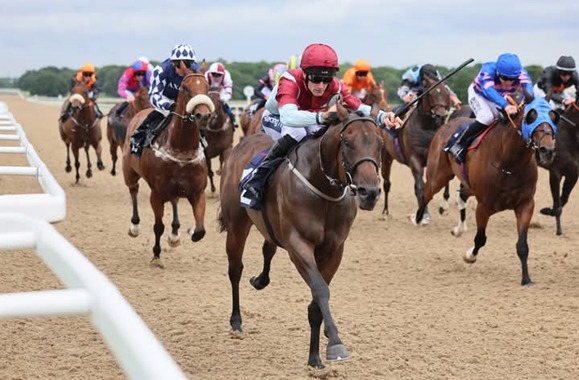 Newcastle Race Cards 9 January seven-race meeting