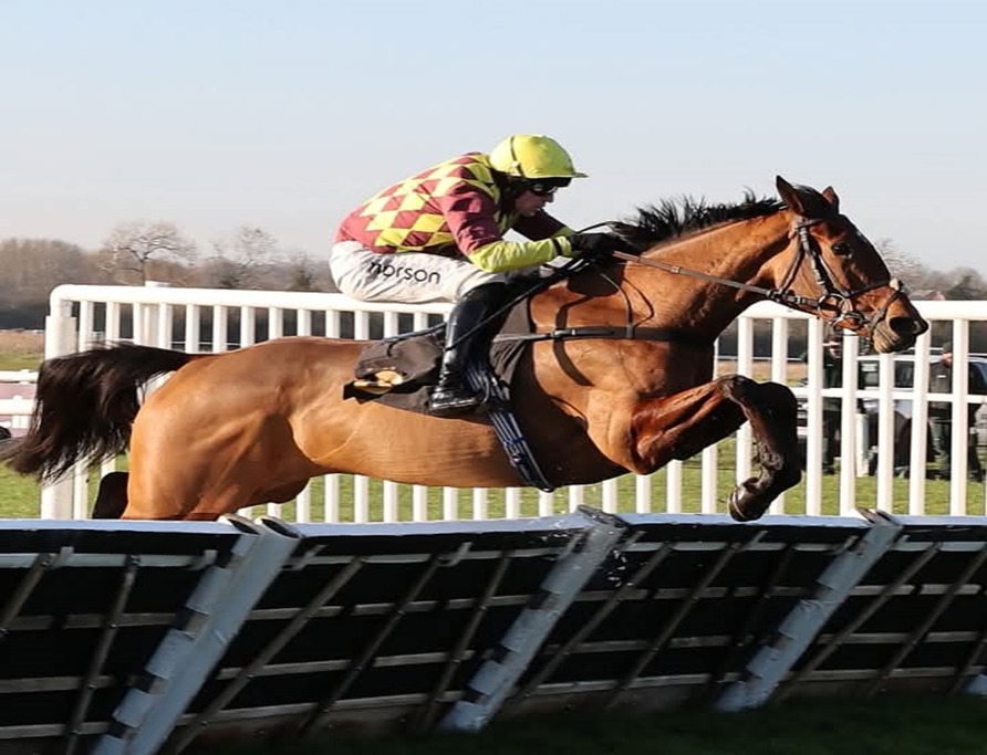 Warwick Race Cards 10 January winter National Hunt racing at Warwick Racecourse