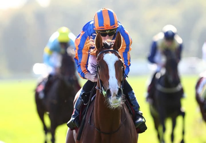 Chantilly Race Cards 10 January featuring eight-race winter programme