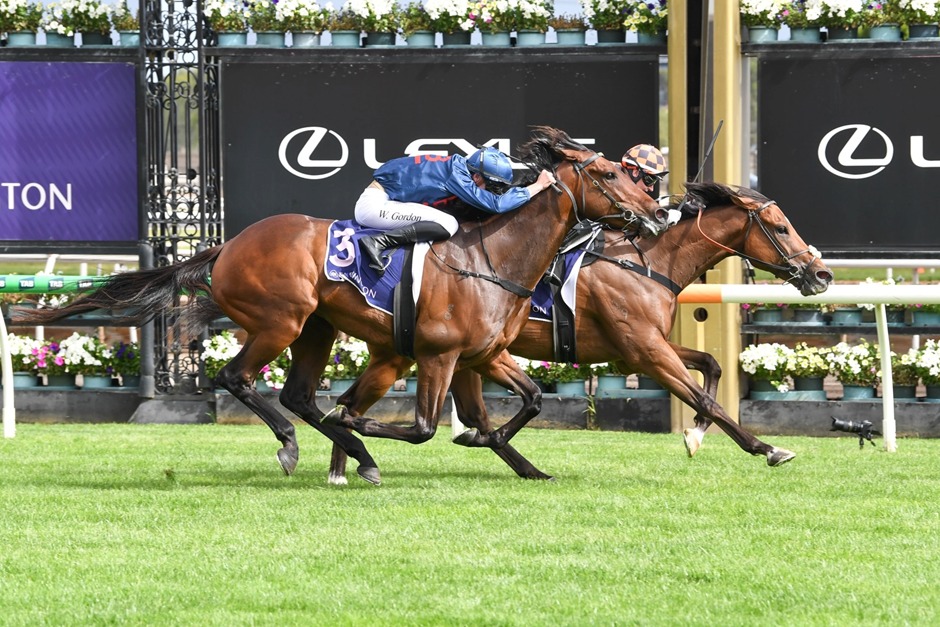 Flemington Racecards 10 January Standish Handicap at Flemington