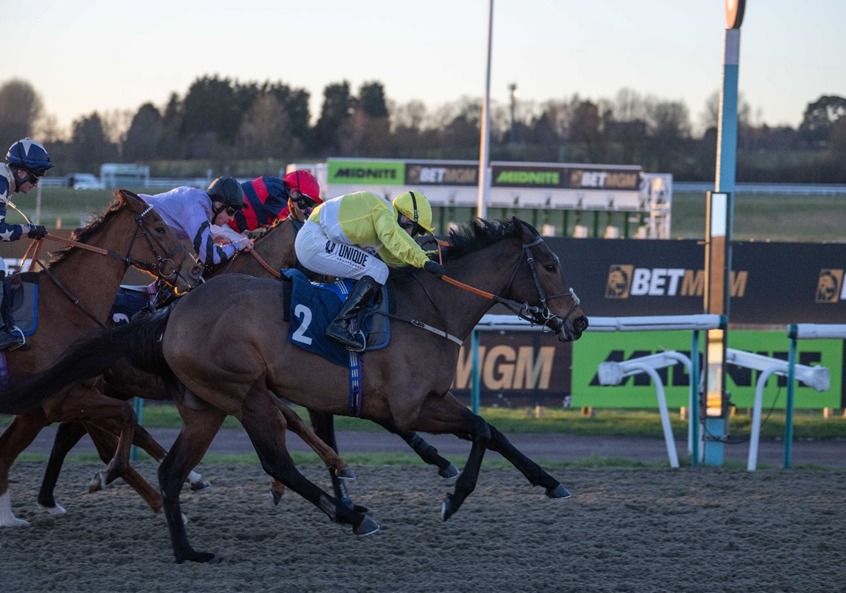 Lingfield Park all-weather racing on 7 January