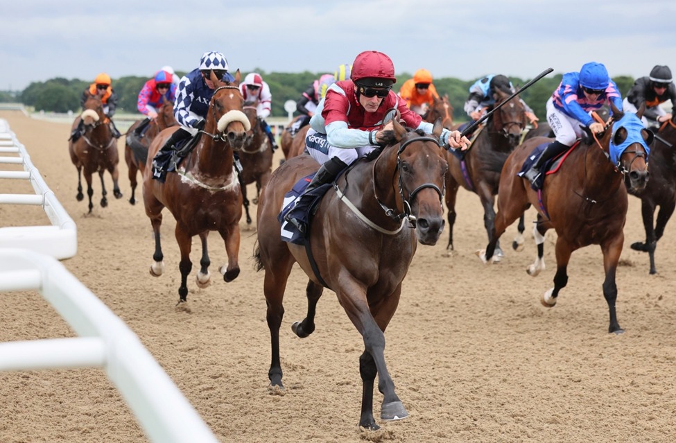 Newcastle Racecards 16 January eight-race flat Tapeta card