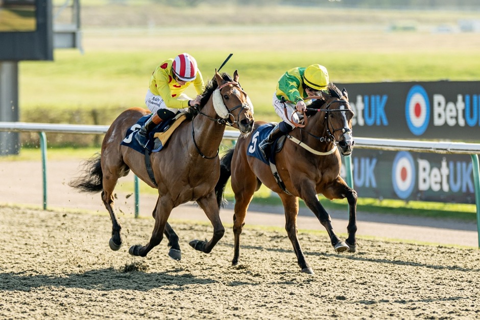 Lingfield Racecards 21 January at Lingfield Park all-weather track