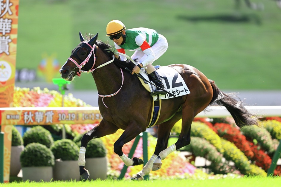 Nakayama Racecards 11 January featuring the Fairy Stakes G3