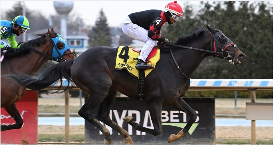 Aqueduct Racecards 11 January winter racing card overview