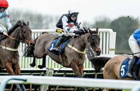 Fontwell Park Race Cards 11 January action on the track