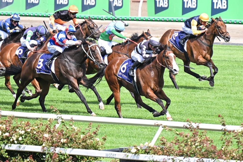 Flemington Racecards 17 January featuring the VOBIS Gold Reef