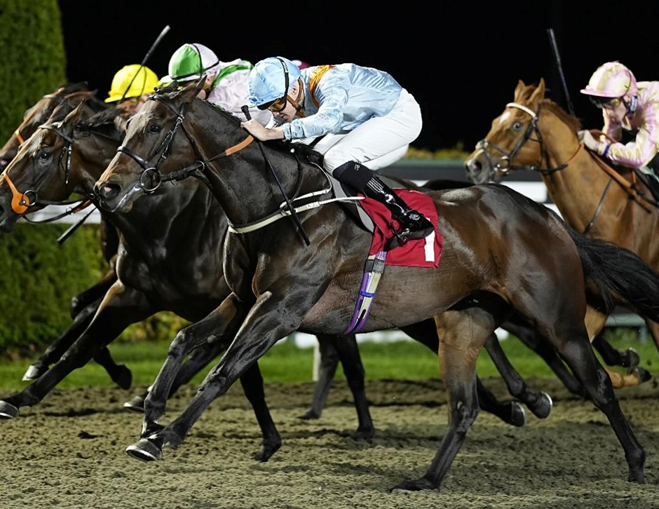 Kempton Racecards 28 January floodlit racing at Kempton Park