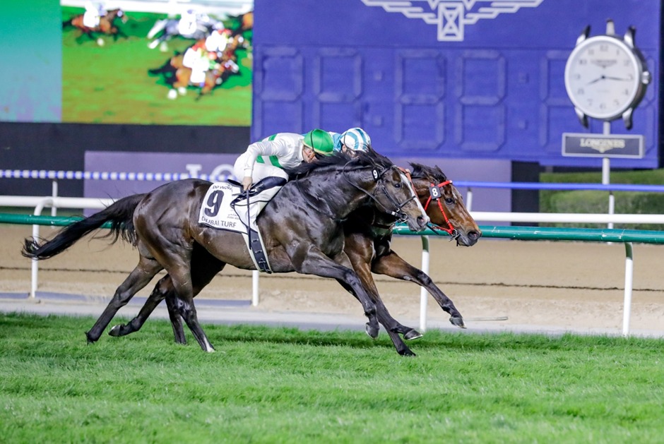 Meydan Racecards 30 January premium racing night at Meydan