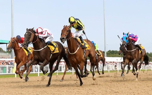 Newcastle Race Cards 20 January Tapeta track during racing