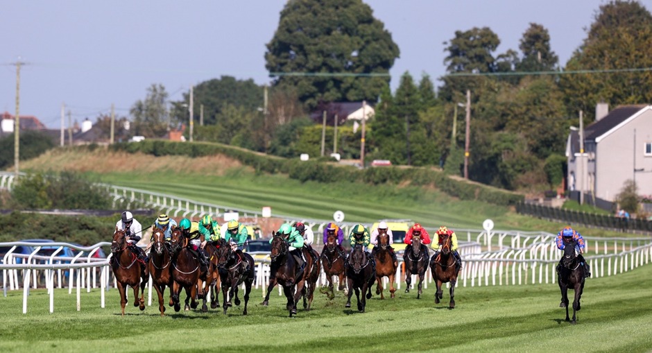 Down Royal Racecards 20 January at Molson Coors Race Day