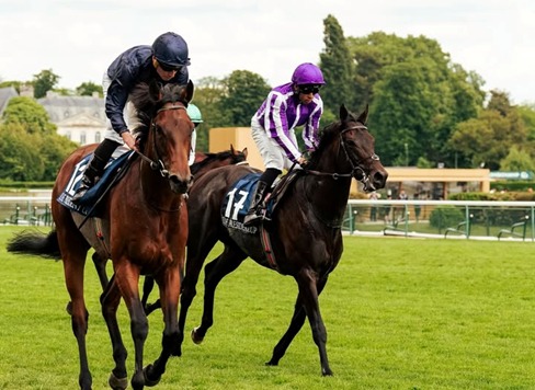 Deauville Race Cards 23 January with horses on the track