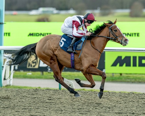 Southwell Race Cards 30 January overview showing horses and jockeys preparing for 30 January races