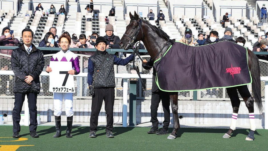 Kyoto Race Results 12 January featuring Thunderstruck winning the Shinzan Kinen