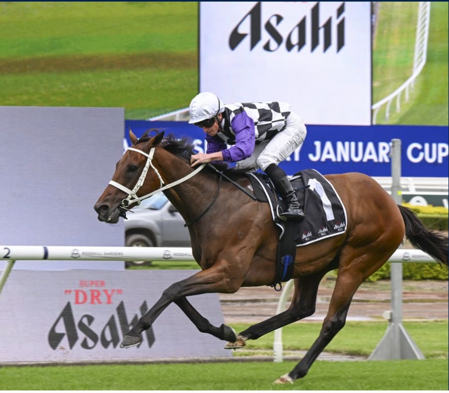 Rosehill Gardens racecards 17th January January Cup Day at Rosehill