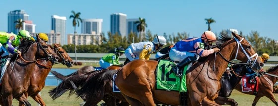 Pegasus World Cup contenders training ahead of Gulfstream Park showdown