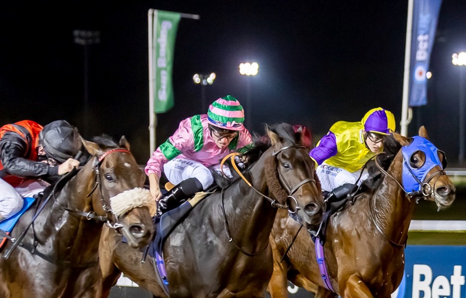 Wolverhampton Racecards 23 January at Wolverhampton Racecourse on the Tapeta