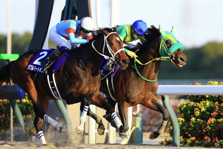 Nakayama Racecards 4 January featuring Kimpai G3 and Junior Cup