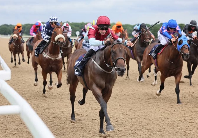 Newcastle Race Cards 13 January on race day