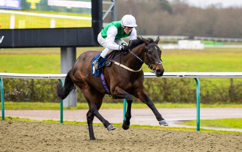 Lingfield Park Race Cards 14 January all-weather racing action on Wednesday