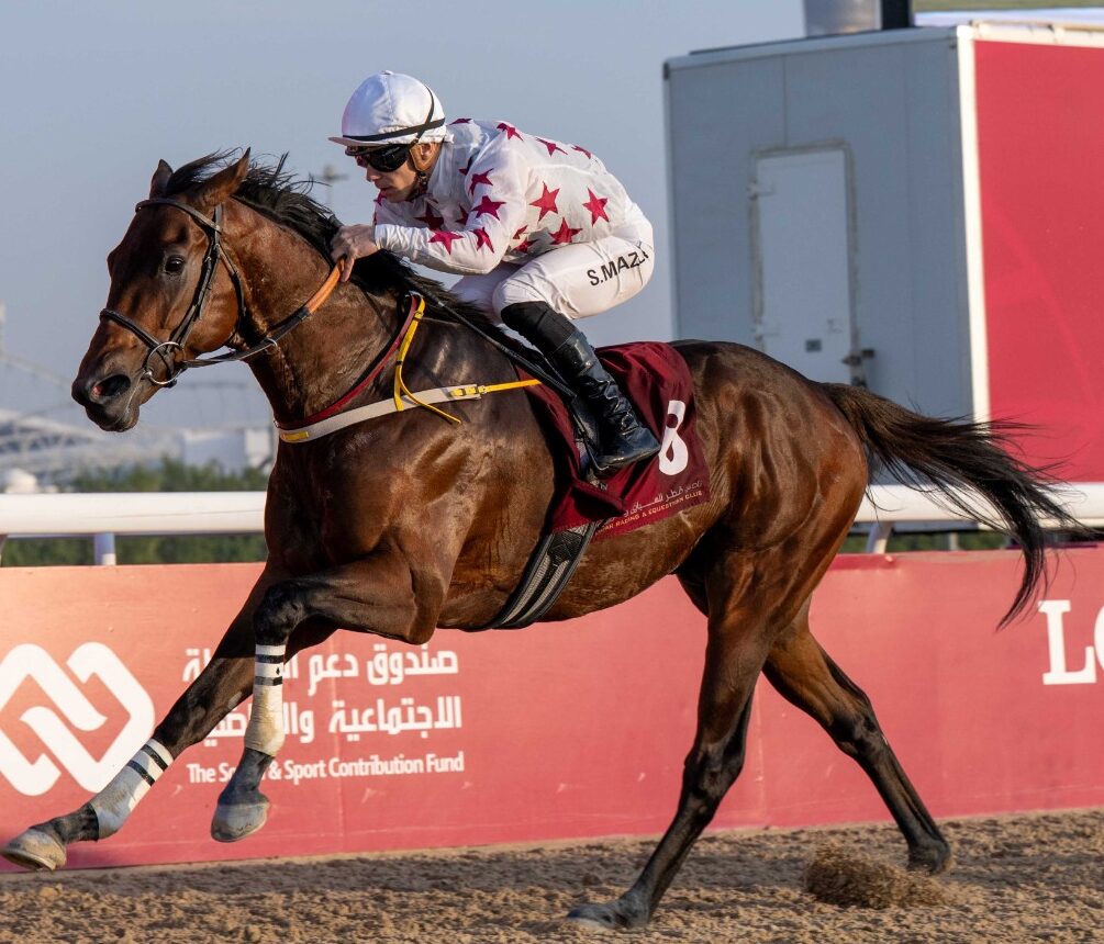 Al Rayyan racecards 17 January – QREC 38th Al Rayyan Meeting