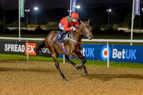 Floodlit racing at Wolverhampton Race Cards 19 January