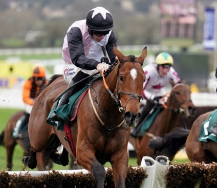 Cheltenham Race Cards 24 January ahead of Saturday racing