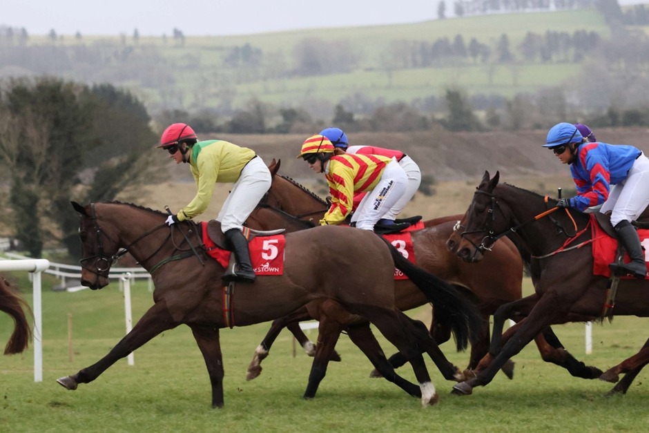 Punchestown Racecards 26 January seven-race hurdle meeting preview